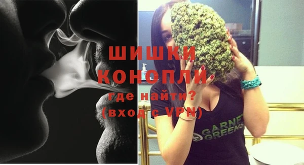 индика Новокубанск