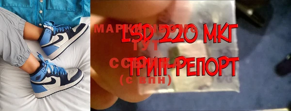 индика Новокубанск