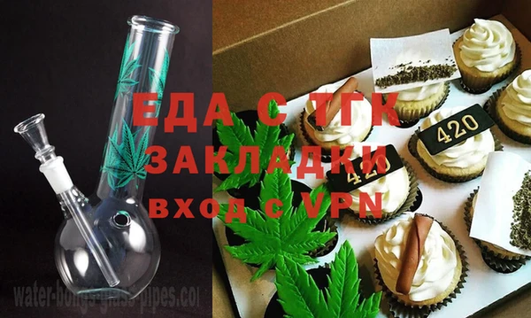 индика Новокубанск