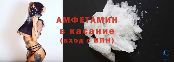 индика Новокубанск