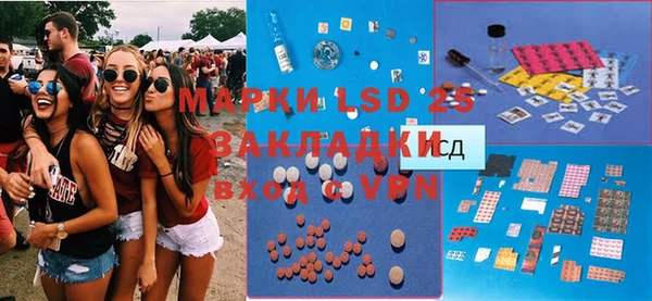индика Новокубанск