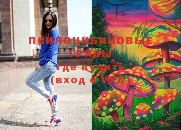 индика Новокубанск
