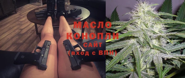 индика Новокубанск