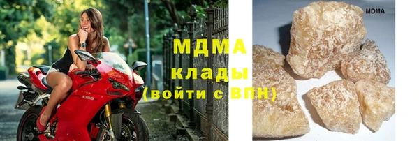 индика Новокубанск
