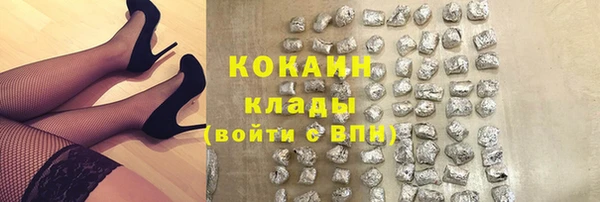 индика Новокубанск