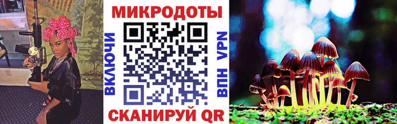 Псилоцибиновые грибы Cubensis  Купить  Туринск 